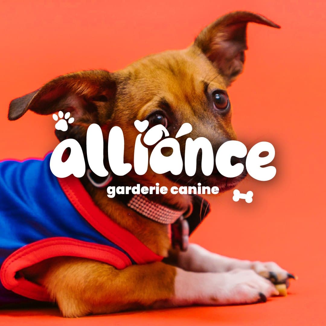 Le logo Alliance garderie canine en blanc, sur la photo d'un chiot en chandail bleu, fond corail.